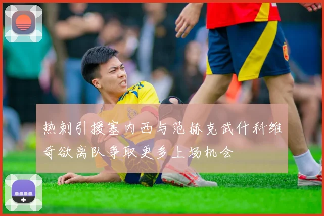热刺引援塞内西与范赫克武什科维奇欲离队争取更多上场机会