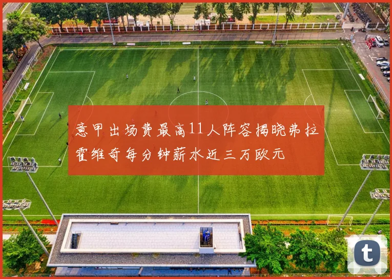 意甲出场费最高11人阵容揭晓弗拉霍维奇每分钟薪水近三万欧元