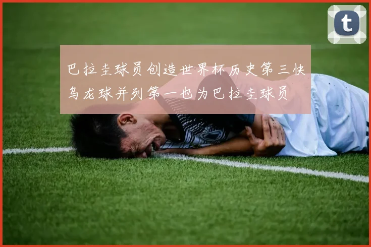 巴拉圭球员创造世界杯历史第三快乌龙球并列第一也为巴拉圭球员